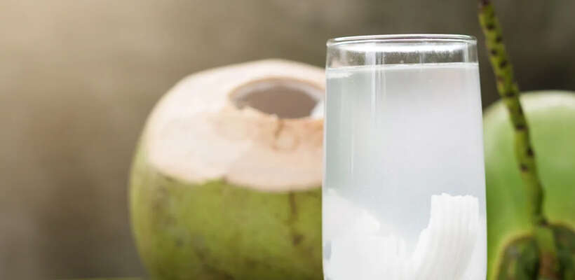 Coconut Water- Nature's own Soft Drink